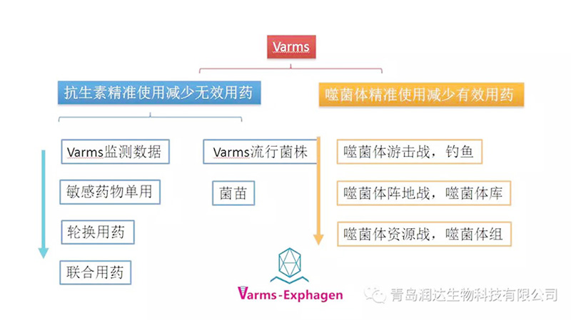  热烈祝贺“Varms抗药性监测与噬菌体防控核心群启动商讨会”圆满成功!!