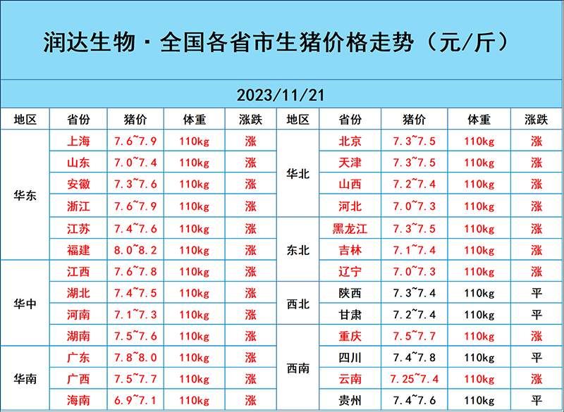 11月21日猪价行情