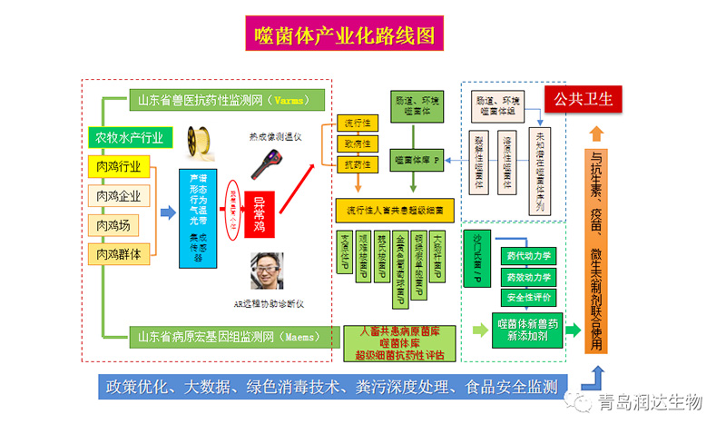 噬菌体产业化路线图