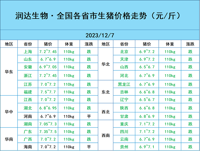 12月7日猪价行情