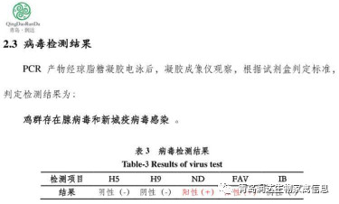 检测报告结果