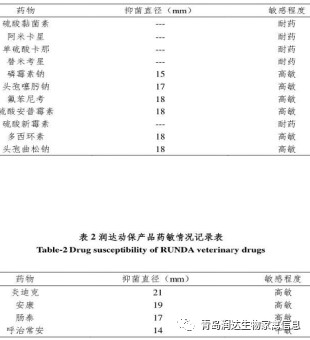 检测报告结果