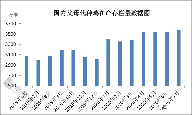 国内父母代种鸡存栏量数据图