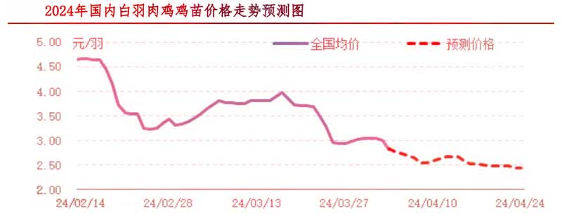 肉鸡市场下周行情预测