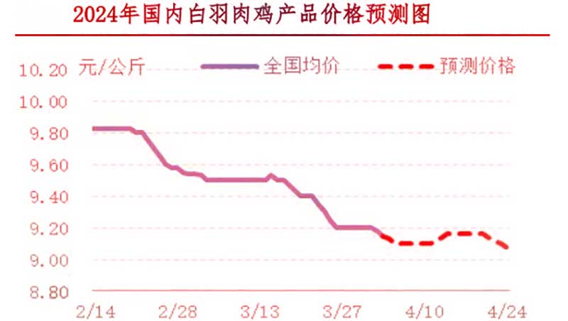 肉鸡市场下周行情预测