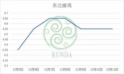 东北雏鸡市场行情