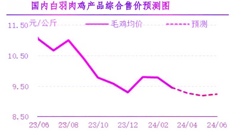 4月肉鸡市场行情预测
