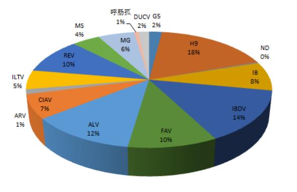 家禽病原检出情况