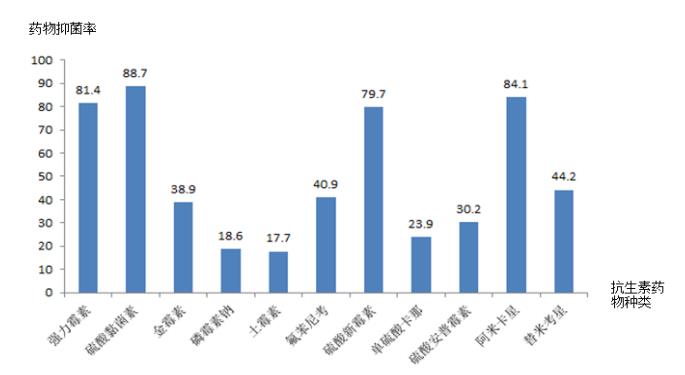 普通抗生素药敏结果