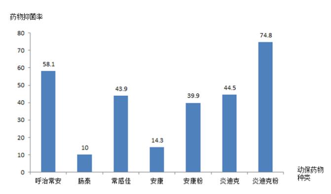 普通抗生素药敏结果