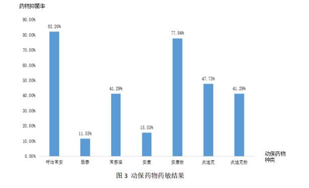 图3 动保药物药敏结果