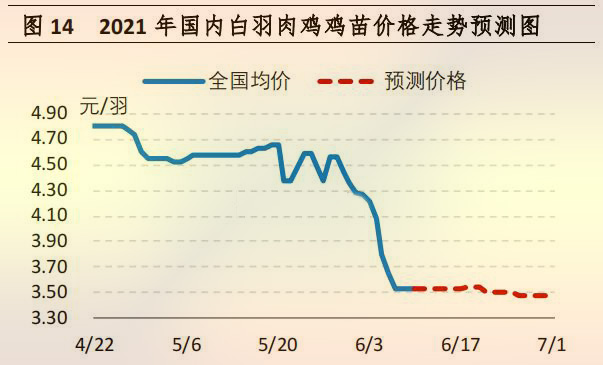 国内白羽肉鸡鸡苗价格走势预测图