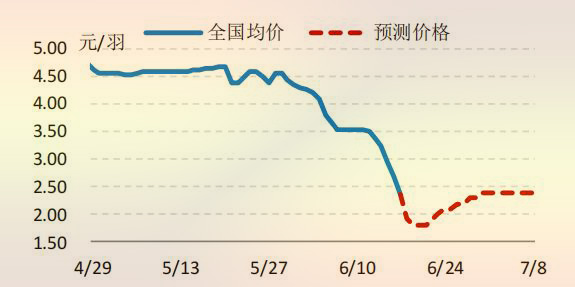 国内白羽肉鸡鸡苗价格走势预测图