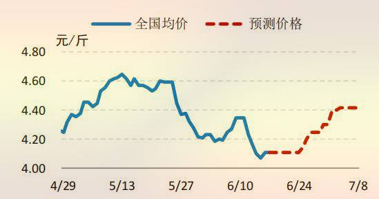 国内 817 小白鸡价格走势预测图