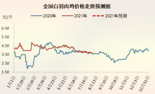 国内白羽肉鸡价格走势预测图