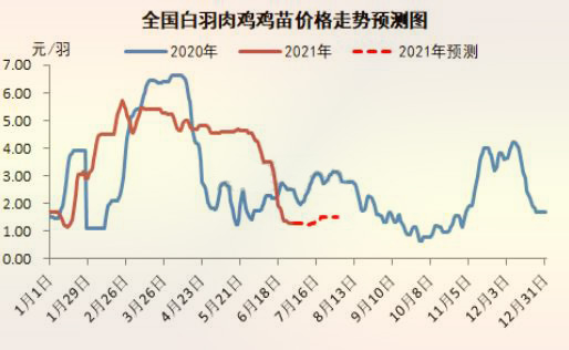 国内白羽肉鸡鸡苗价格走势预测图