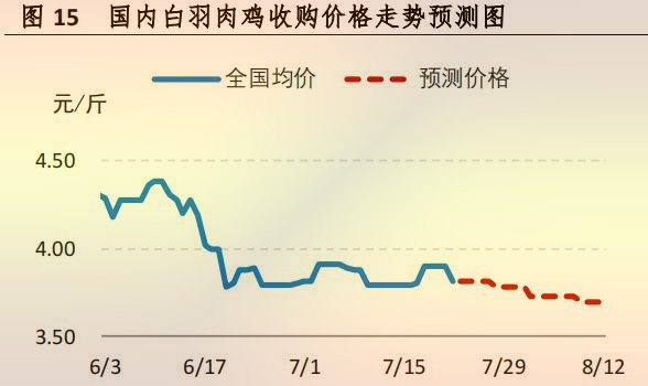 国内白羽肉鸡收购价格走势预测图