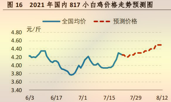 国内 817 小白鸡价格走势预测图