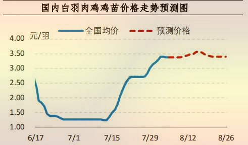 国内白羽肉鸡鸡苗价格走势预测图