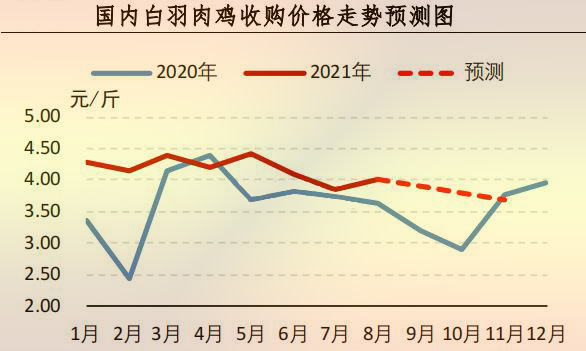 白羽肉鸡价格行情