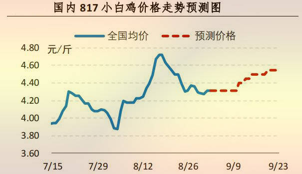 817 小白鸡