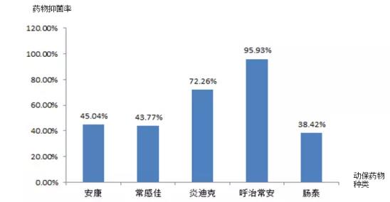 临床主要敏感动保药物