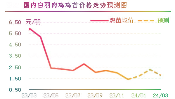 12月肉鸡市场行情分析及1月行情预测