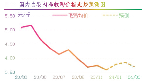 12月肉鸡市场行情分析及1月行情预测