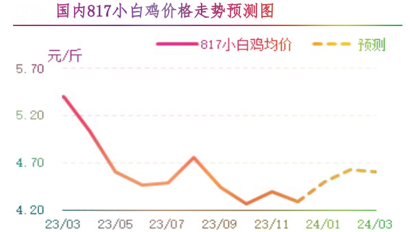 12月肉鸡市场行情分析及1月行情预测