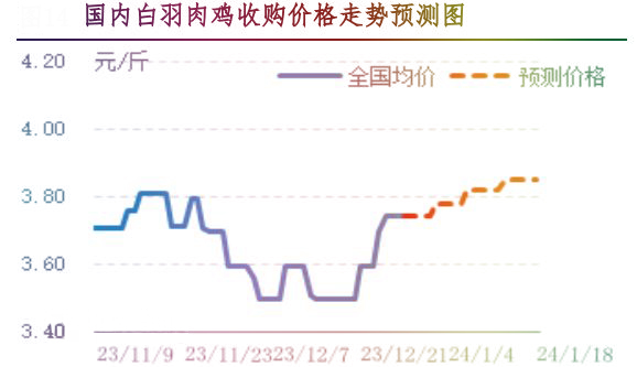 肉鸡市场行情汇总