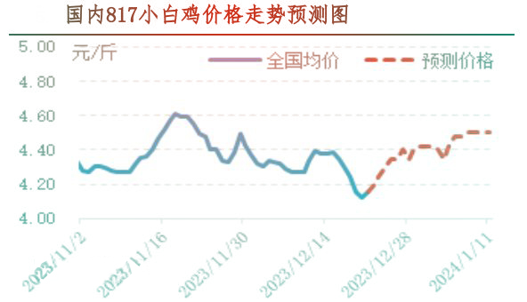 肉鸡市场行情汇总