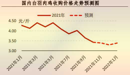 白羽肉鸡价格走势