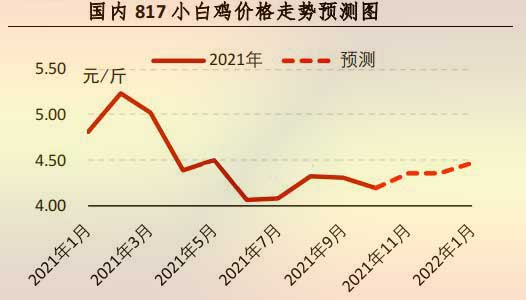 817小白鸡价格走势