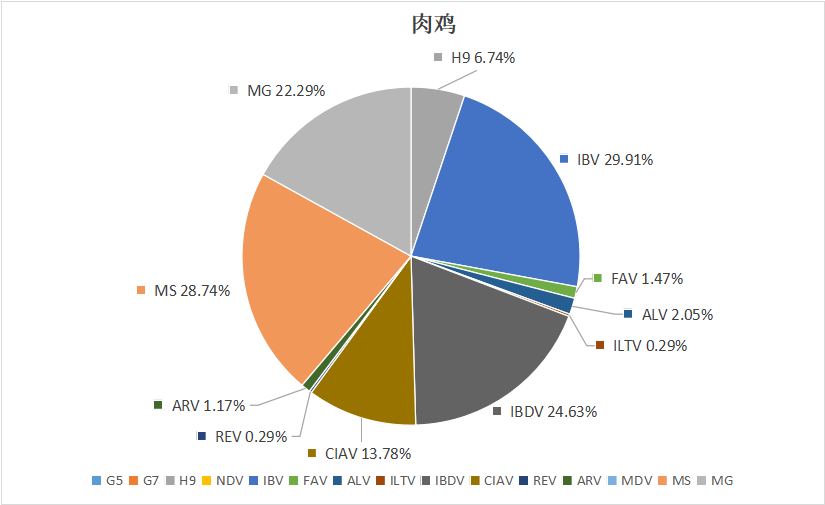 2023年11月白羽肉鸡疫病检测分析报告