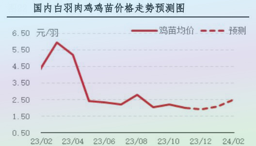 11月肉鸡市场行情分析及12月行情预测