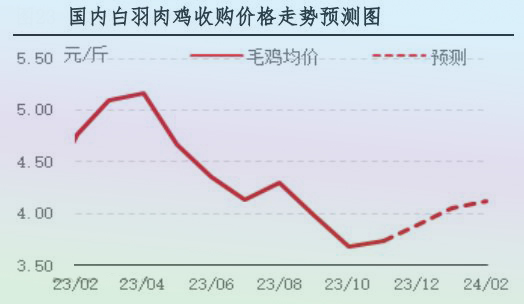 11月肉鸡市场行情分析及12月行情预测