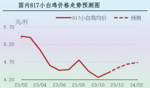 11月肉鸡市场行情分析及12月行情预测