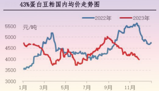 11月肉鸡市场行情分析及12月行情预测