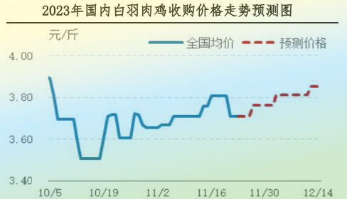 肉鸡市场行情汇总