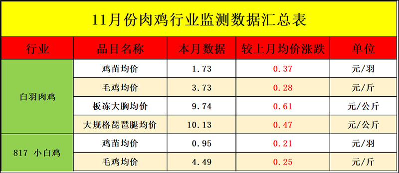 11月肉鸡市场行情分析