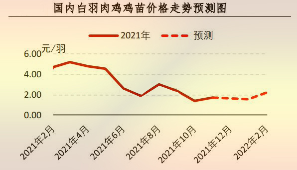 国内白羽肉鸡鸡苗价格走势预测图