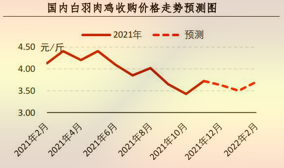 国内白羽肉鸡收购价格走势预测图