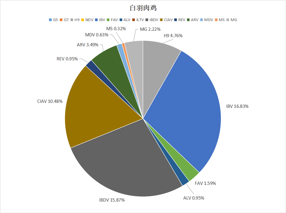 2023年10月白羽肉鸡疫病检测分析报告