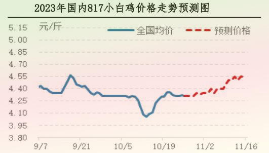 肉鸡市场行情汇总