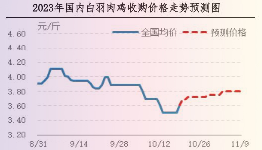 肉鸡市场行情汇总