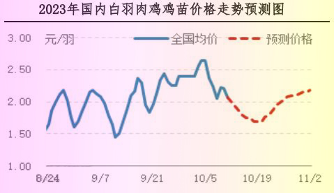 肉鸡市场行情汇总