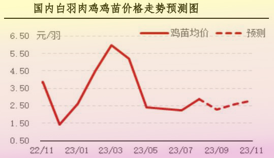 8月肉鸡市场行情分析及9月行情预测