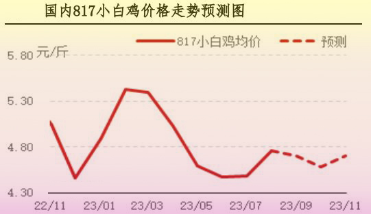 8月肉鸡市场行情分析及9月行情预测