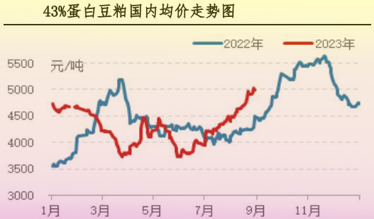 8月肉鸡市场行情分析及9月行情预测