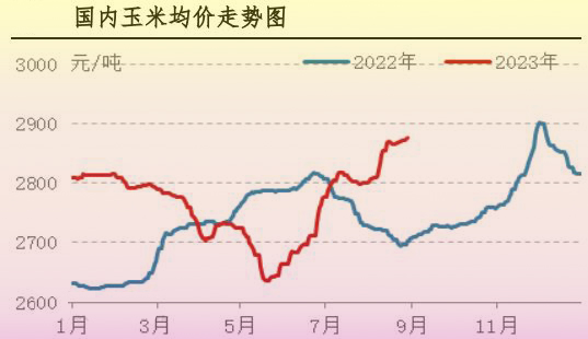 8月肉鸡市场行情分析及9月行情预测